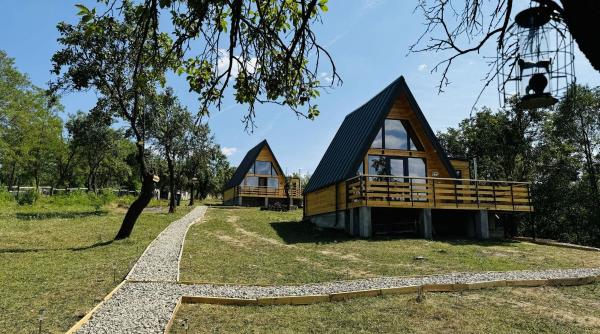 de ce o vacanta la o cabana a frame este alegerea perfecta pentru iubitorii de natura