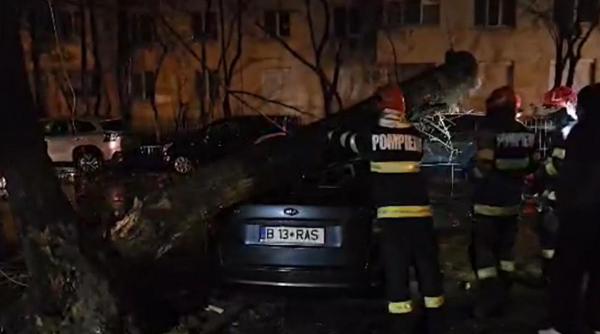 vantul a facut ravagii in capitala zeci de masini distruse de copacii cazuti