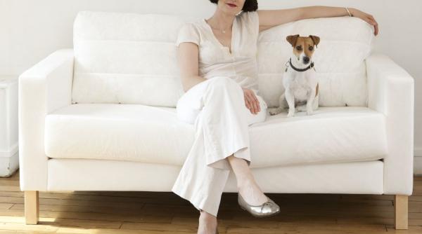 provocari 4 zodii testate univers ianuarie 2025