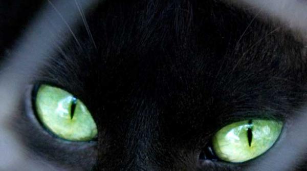top 13 superstitii fascinante lume ciudate credinte varcolaci