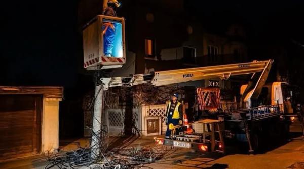 nicusor dan cablu stalp