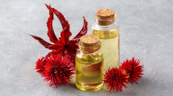 care sunt beneficiile uleiului de ricin pentru sanatate si frumusete