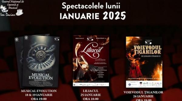 programul teatrului national de opereta si musical ion dacian in luna ianuarie 2025