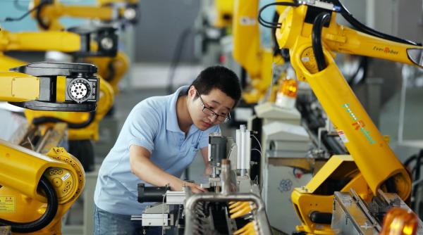 dezvoltare economica lume protectionista