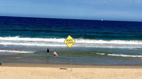 panica plaje australia bulgari misteriosi restrictii severe