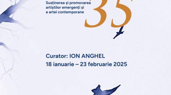 expozitia aniversara talent 35 sustinerea si promovarea artistilor emergenti si a artei contemporane
