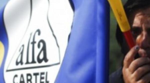 cartel alfa politicienii se joaca cu chibrituri langa butoiul de pulbere