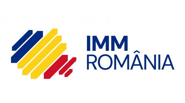 prim vicepresedintele imm romania sterica fudulea a fost ales presedinte al consiliului economic si social