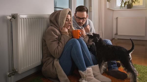 locuinte incalzire eurostat