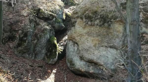 cele mai vechi fosile umane din europa descoperite romania