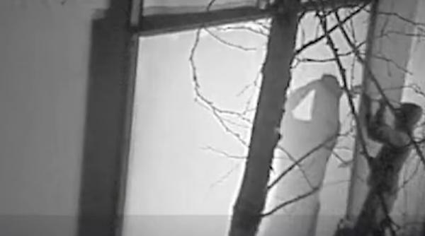 primele imagini hoti furt tezaur dacic muzeu olanda