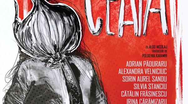 ceapa un spectacol marca teatrul stela popescu revine la teatrul nottara