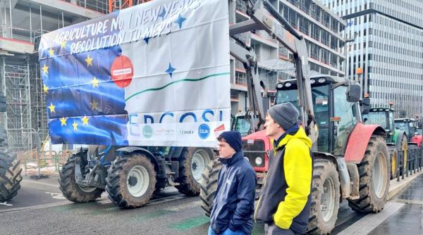 cultura sfecla de zahar disparitie fabrici productie