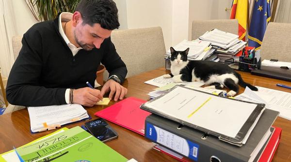 eduard hellvig sri george tuta primar sector 1