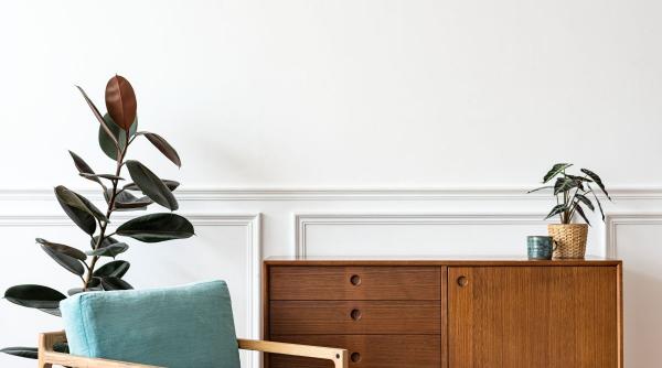 tendinte de design interior pentru 2025 ce stiluri sa urmaresti