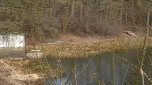 padurea urbana noroieni neintelegeri primarie ong