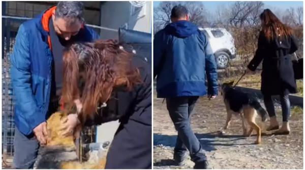 catelusa petarde craciun