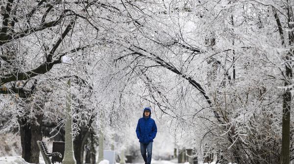 ger crapa pietrele romania prognoza februarie
