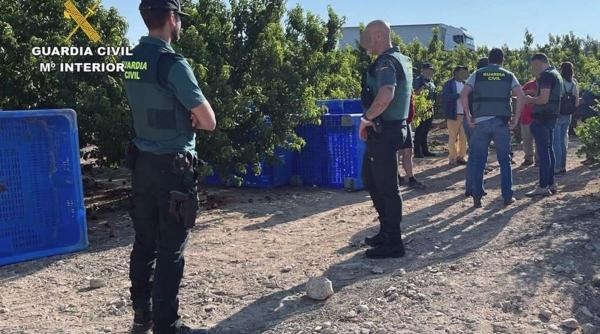 romani sclavi spania abuz