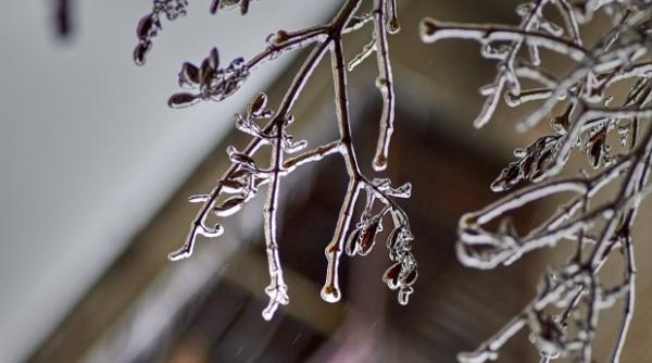 ger cumplit toata luna februarie prognoza martie 2025