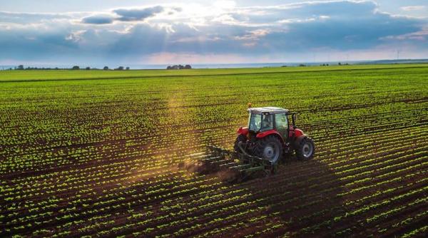 Ciolacu anunță sprijin pentru agricultură