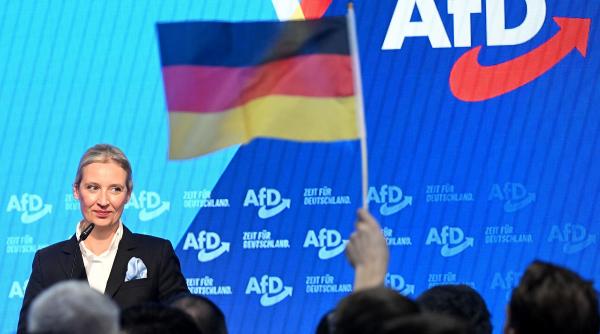 afd guvernare sustinere probleme rezolvate