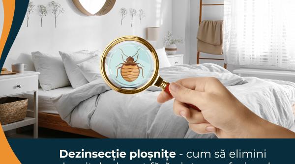 Dezinsecție ploșnițe - cum să elimini ploșnițele de pat fără ajutor profesional