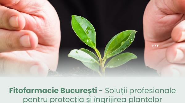 fitofarmacie bucuresti solutii profesionale pentru protectia si ingrijirea plantelor