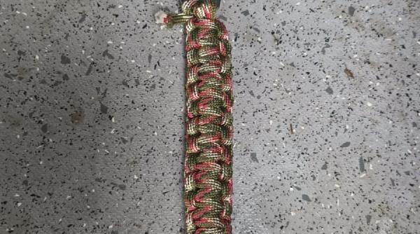 barbat polonez control judiciar jandarmi protestul aur