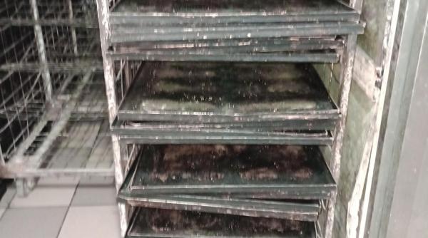 cristian popescu piedone fabrica paine harlau inchisa anpc