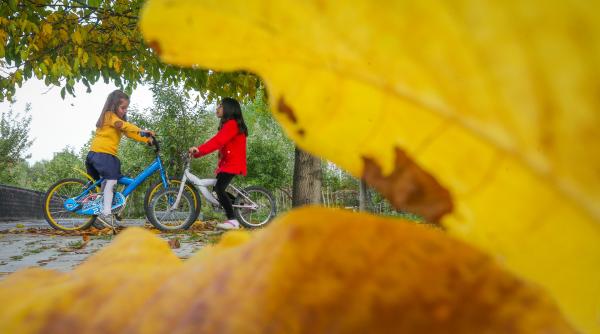 zodiac semne destin 4 zodii ceva maret 6 martie 2025