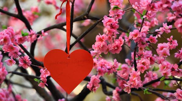 romania lider comenzile flori ziua femeii