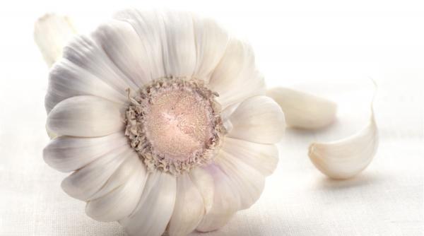 cum rezista usturoiul mai mult timp