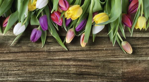 istoria zilei internationale femeii romania lume