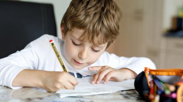 limba romana ce inseamna cuvantul beligerant