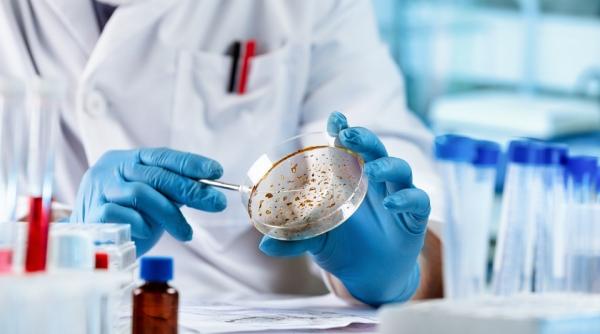 cum afli ai infectie viermi paraziti