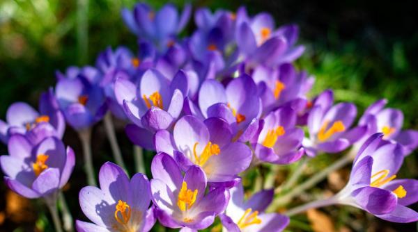 prognoza bucuresti vreme calda