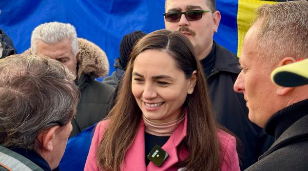 anamaria gavrila candidatura alegerile prezidentiale