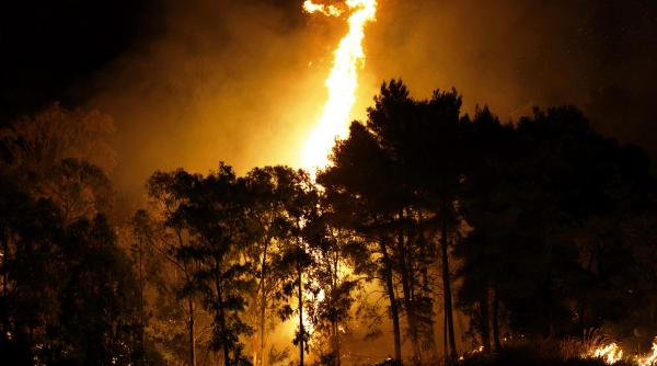 premiera google lanseaza satelit detectare rapida incendii