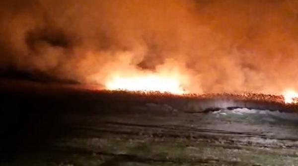 incendiu violent delta dunarii ard zece hectare stuf vegetatie