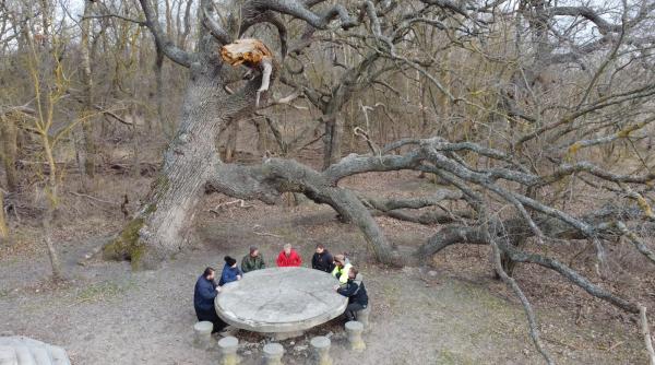 alege bine pentru tine in fiecare zi cum a ajuns o ruina locul din care vin 31 dintre marii campioni ai romaniei al patrulea episod al campaniei observator in aceasta seara la ora 19 00