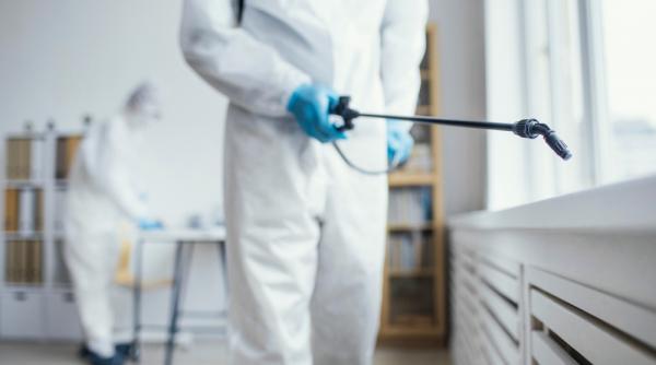 firma ddd iasi solutii pentru un mediu curat sigur si fara daunatori