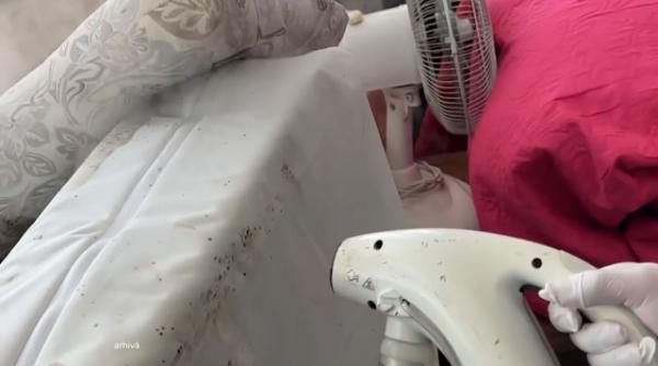 invazie plosnite institutul marius nasta capitala