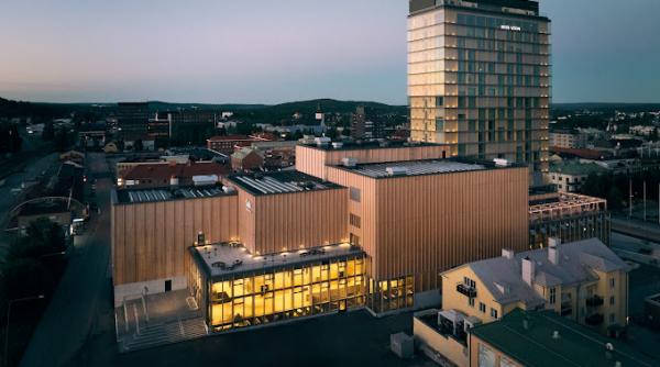 artista vizuala nicoleta mures in expozitia agua viva de la muzeul de arta anna nordlander din suedia