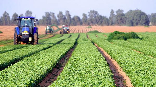 subventii apia fermieri agricultorii primit banii campania 2024