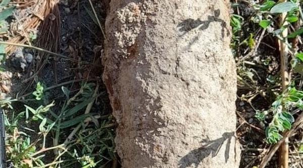 bomba padure botosani