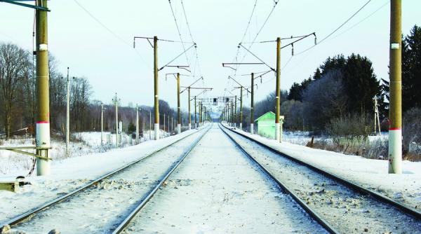 circulatie cfr intrerupta copaci