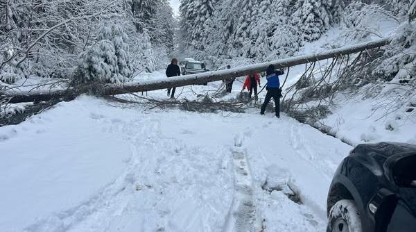 turisti jandarmi bistra mica
