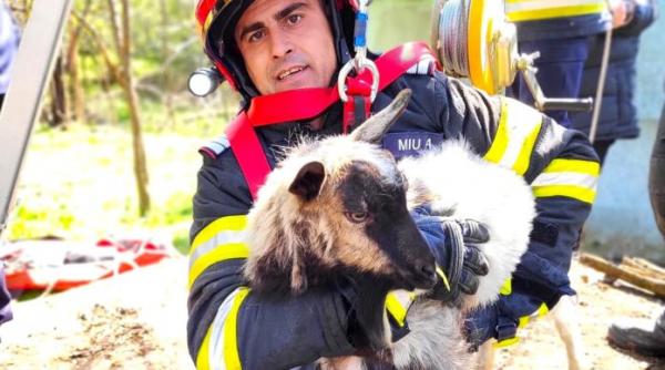 ied fantana pompieri