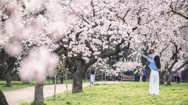 doua saptamani temperaturi mai mari normale
